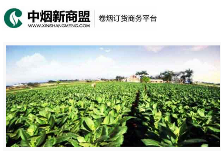 ���������˾��̶�������ƽ̨