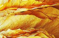 yl6776���������̲���ҵ����ƻ�V6