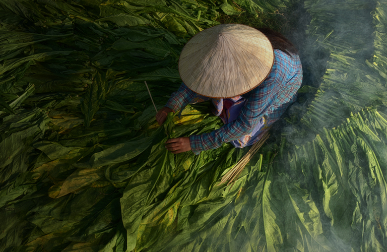 yl6776��������(�й���)���޹�˾����